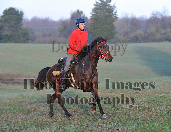Foxcatcher(4-12-14)0365