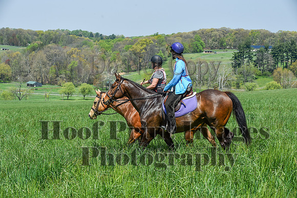 CheshireSpringPC1(4-28-24)0478