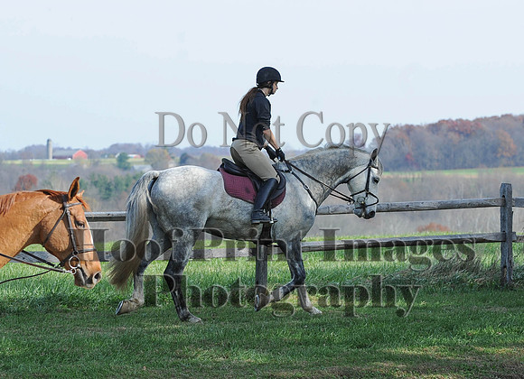 AndrewsBr(11-9-14)0253