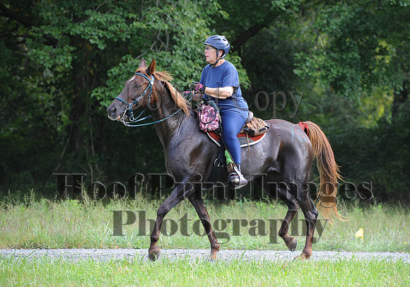 ChesapeakeCTR(9-20-14)0136