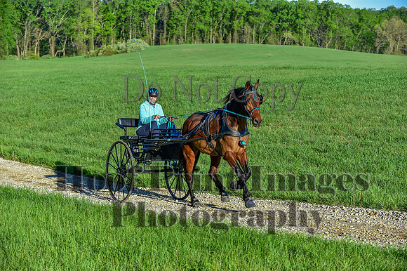 ChesapeakeSpring(4-27-25)0043