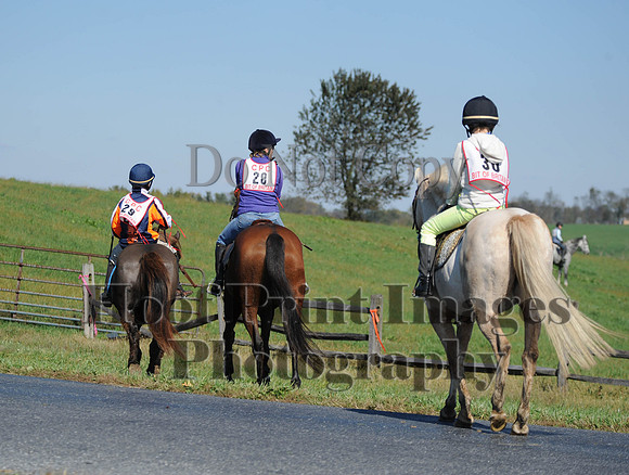 Cheshire(10-20-13)0194