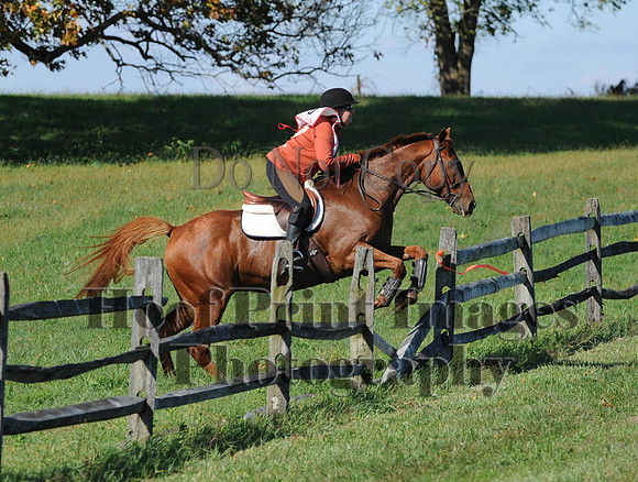 Cheshire(10-20-13)0294