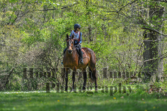CheshireSpringPC2(4-28-24)0325