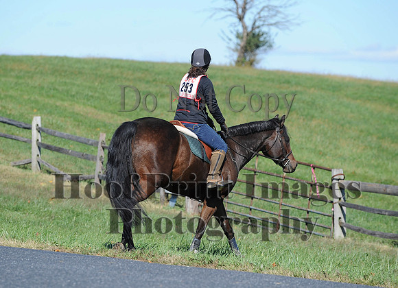 Cheshire(10-19-14)0084