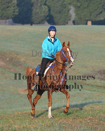 Foxcatcher(4-12-14)0450