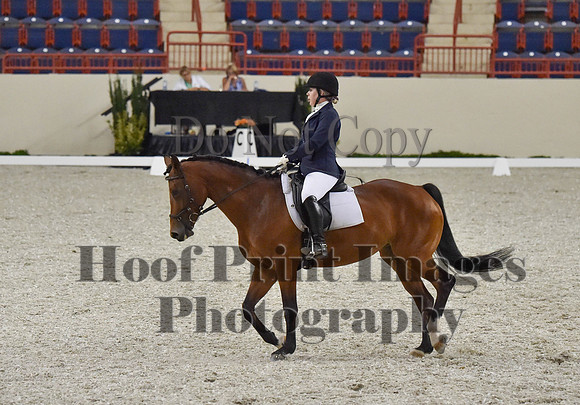 CWdressageI(8-20-16)0390