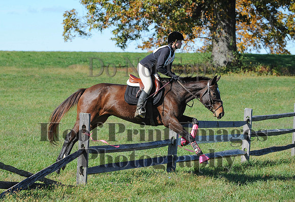 Cheshire(10-19-14)0167