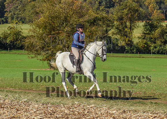 CheshirePC(10-18-20)0539