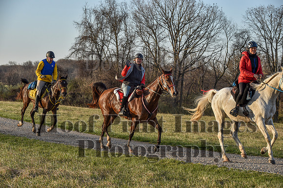 Foxcatcher(4-2-22)0027