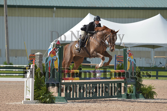 BRSa(5-17-14)HChAdJ0108