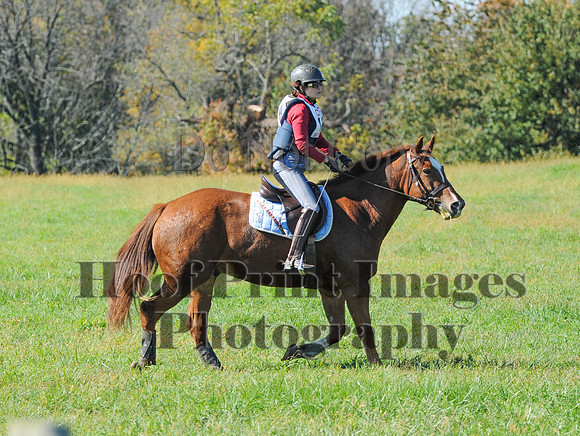 Cheshire(10-20-13)0271