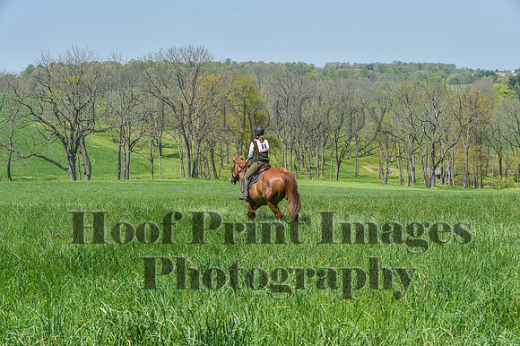 CheshireSpringPC1(4-28-24)0291