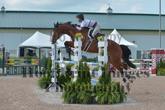 BRSa(5-17-14)HChAdJ0053