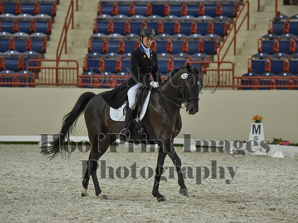 CWdressageI(8-20-16)1477