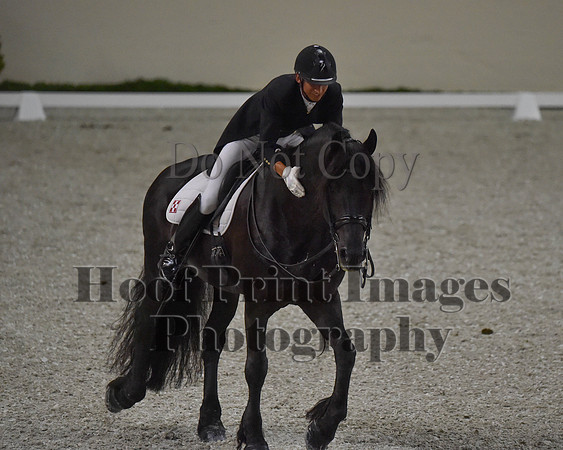 CWdressageII(8-21-16)0626