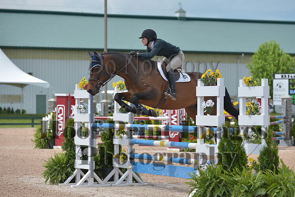BRSa(5-17-14)HChAdJ0152