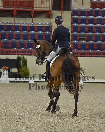 CWdressageI(8-20-16)0484