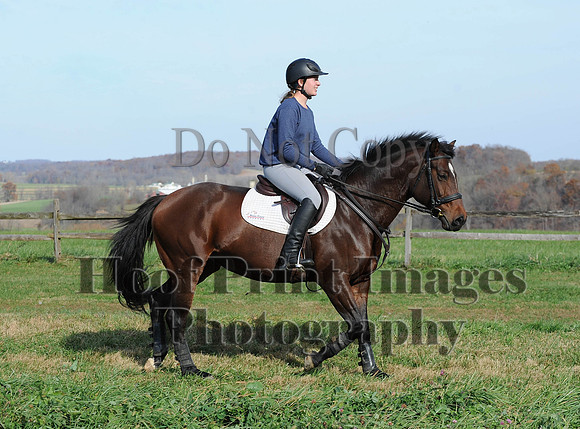 AndrewsBr(11-9-14)0511