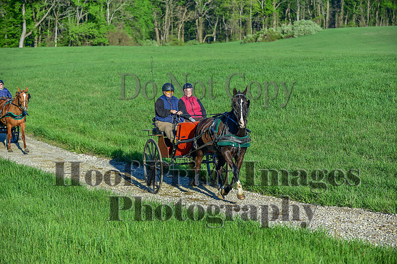 ChesapeakeSpring(4-27-25)0064