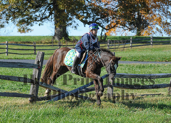 Cheshire(10-19-14)0394