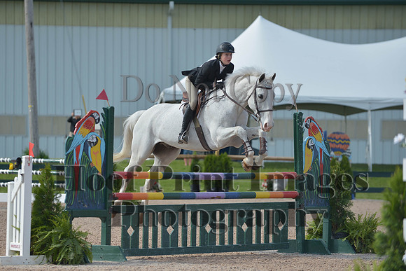 BRSa(5-17-14)HChAdJ0037