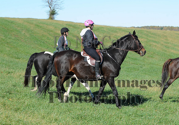 Cheshire(10-19-14)0449