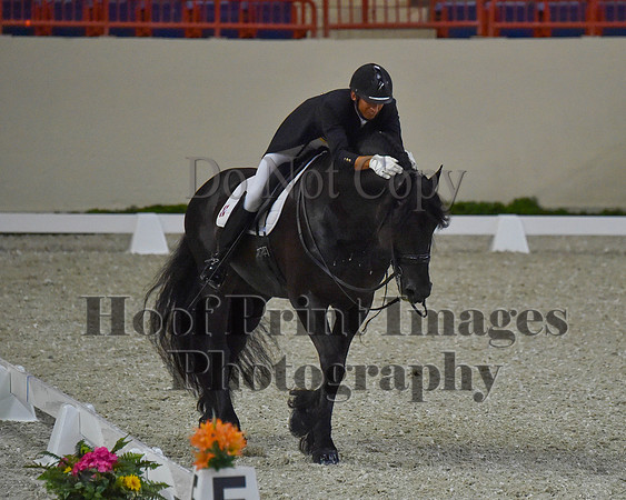 CWdressageII(8-21-16)0621