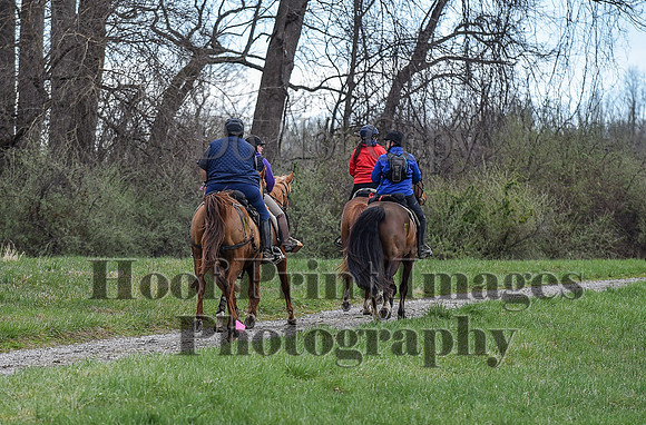 ChesapeakeSpring(4-10-22)0207