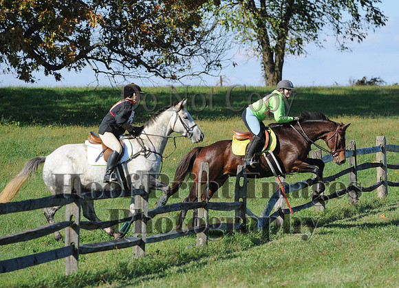 Cheshire(10-20-13)0695