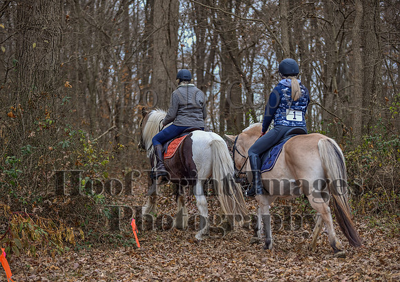 AndrewsBrHuntPace(11-10-24)0112