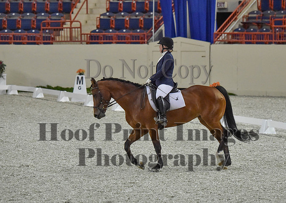 CWdressageI(8-20-16)0260