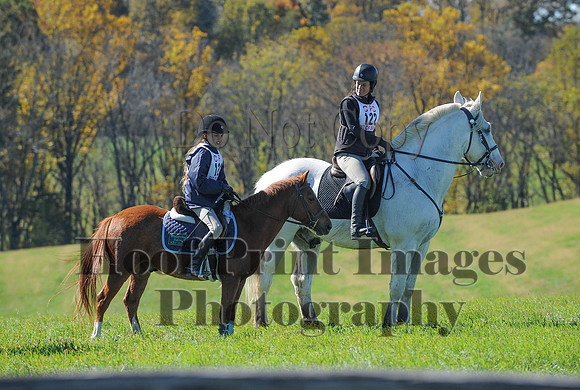 Cheshire(10-19-14)0163