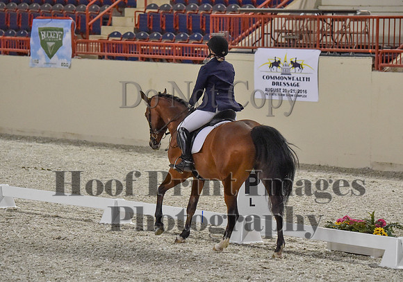 CWdressageI(8-20-16)0401