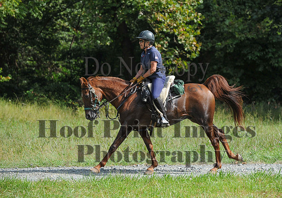 ChesapeakeCTR(9-20-14)0577