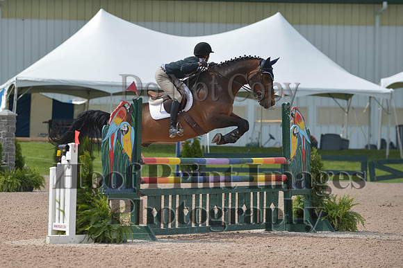 BRSa(5-17-14)HChAdJ0162