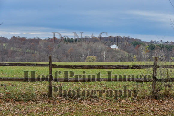 AndrewsBrHuntPace(11-10-24)0242