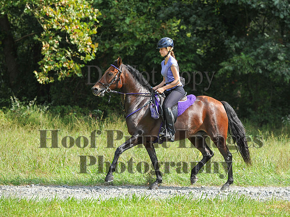 ChesapeakeCTR(9-20-14)0542