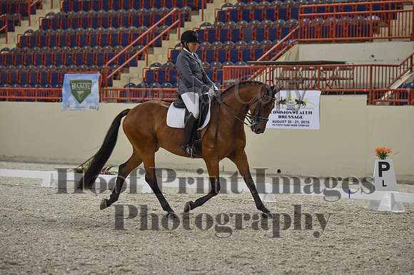 CWdressageI(8-20-16)1162