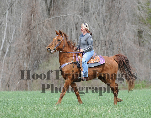 FairhillPC(4-18-14)0655