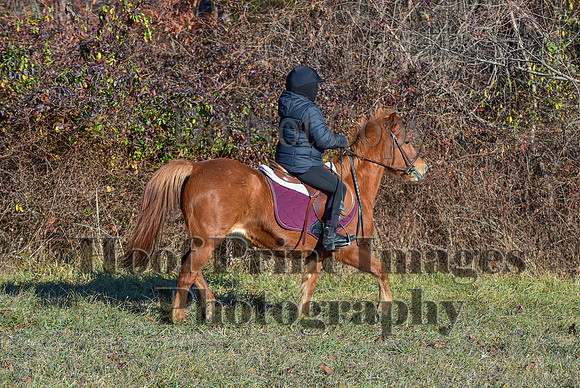FairHillFallPC(11-30-24)0232
