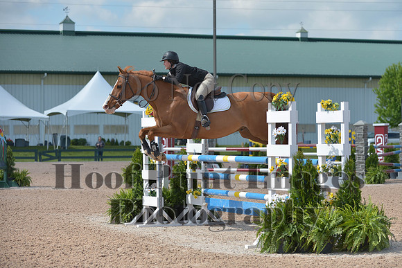 BRSa(5-17-14)HChAdJ0127