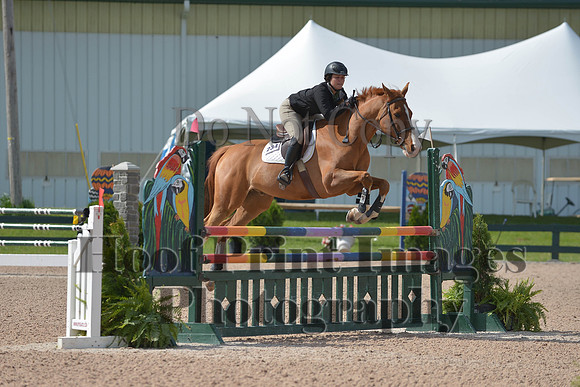 BRSa(5-17-14)HChAdJ0121