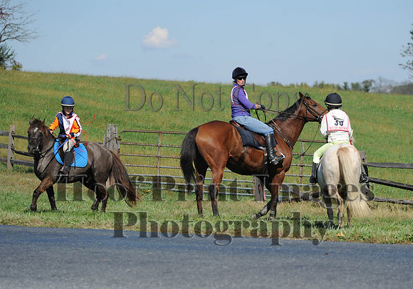 Cheshire(10-20-13)0199