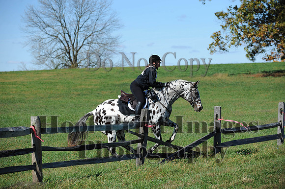 Cheshire(10-19-14)0026