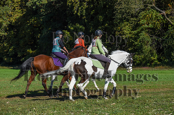 CheshirePC(10-18-20)0584