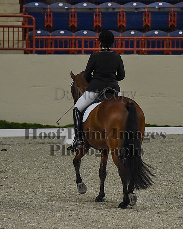 CWdressageII(8-21-16)0165