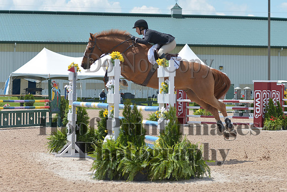 BRSa(5-17-14)HChAdJ0249