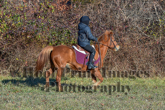 FairHillFallPC(11-30-24)0231
