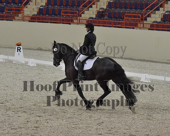 CWdressageII(8-21-16)1259